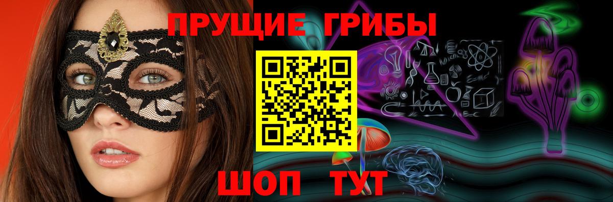 Алатырь  Псилоцибиновые грибы мицелий  Вход с VPN 